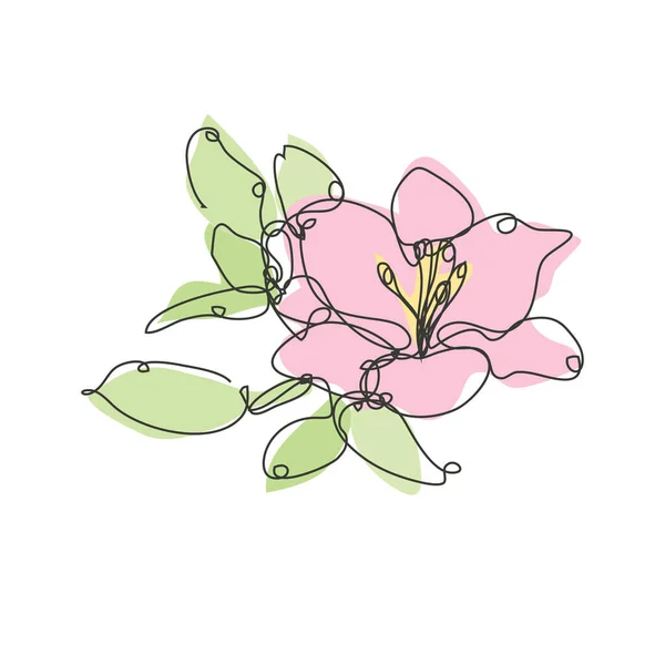 Dekorativní Ručně Kreslený Líný Květ Designový Prvek Lze Použít Karty — Stockový vektor