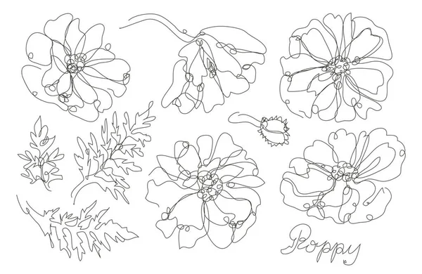 Decorativo Conjunto Flores Amapola Dibujadas Mano Elementos Diseño Puede Utilizar — Vector de stock