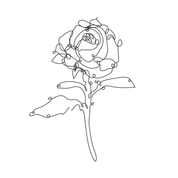 Fleur Rose Dessinée Main Décorative Élément Design Peut Être Utilisé — Image vectorielle