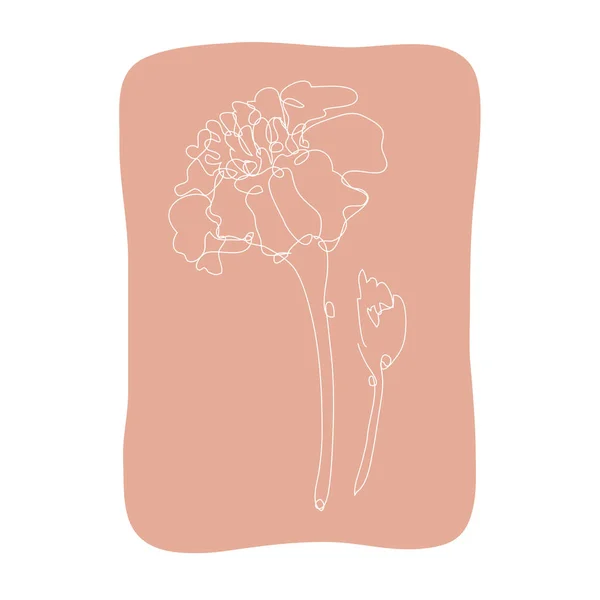 Flor Calêndula Decorativa Desenhada Mão Elemento Design Pode Ser Usado —  Vetores de Stock