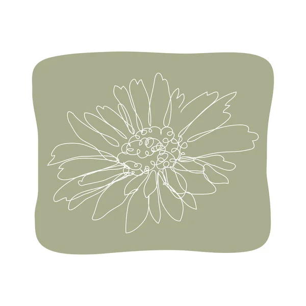 装饰手绘洋甘菊花 设计元素 可用于卡片 邀请函 平面设计 连续线条艺术风格 — 图库矢量图片