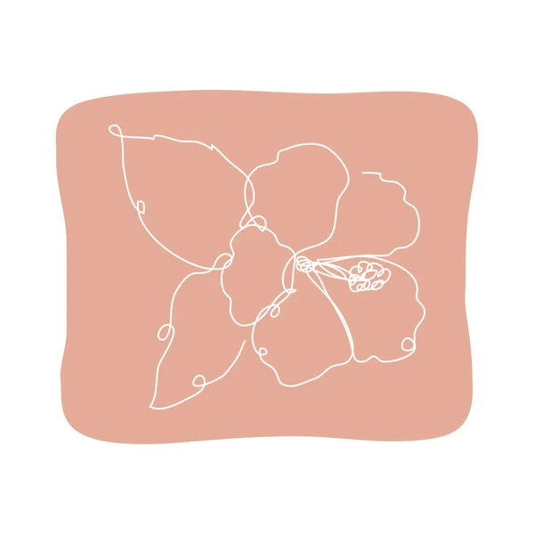 Decoratieve Hand Getrokken Hibiscus Bloem Design Element Kan Gebruikt Worden — Stockvector