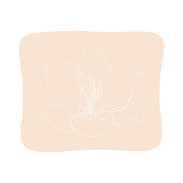 装饰手绘唇花 设计元素 可用于卡片 邀请函 平面设计 连续线条艺术风格 — 图库矢量图片