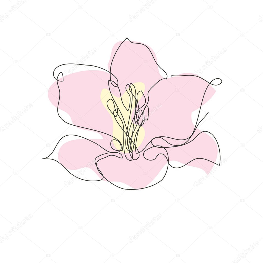 Decorative hand drawn liy flower, design element. Can be used for cards, invitations, banners, posters, print design. Continuous line art style