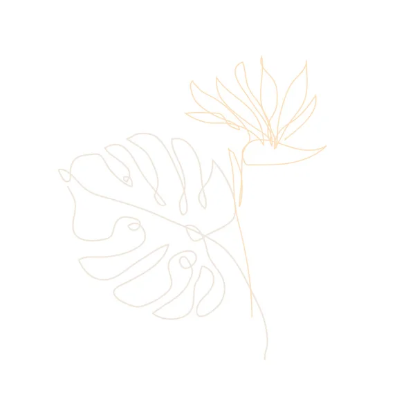 Strelitzia Décorative Dessinée Main Fleur Monstère Éléments Design Peut Être — Image vectorielle