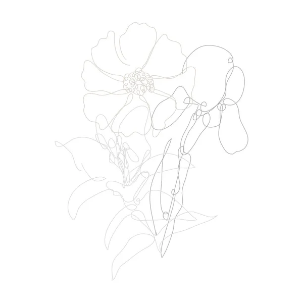 Dekorativní Ručně Kreslené Duhovky Lilie Kosmu Květiny Designové Prvky Lze — Stockový vektor