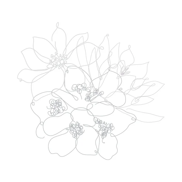Dekorative Handgezeichnete Jasmin Anemone Und Lotus Gestaltungselemente Kann Für Karten — Stockvektor