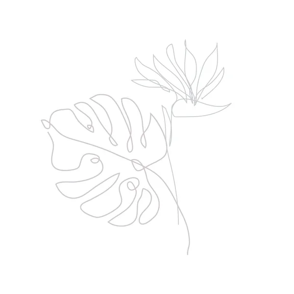 装飾的な手を描いたStrelitziaの花やモンステラ デザイン要素 カード 招待状 バナー ポスター 印刷デザインに使用できます 連続線画形式 — ストックベクタ