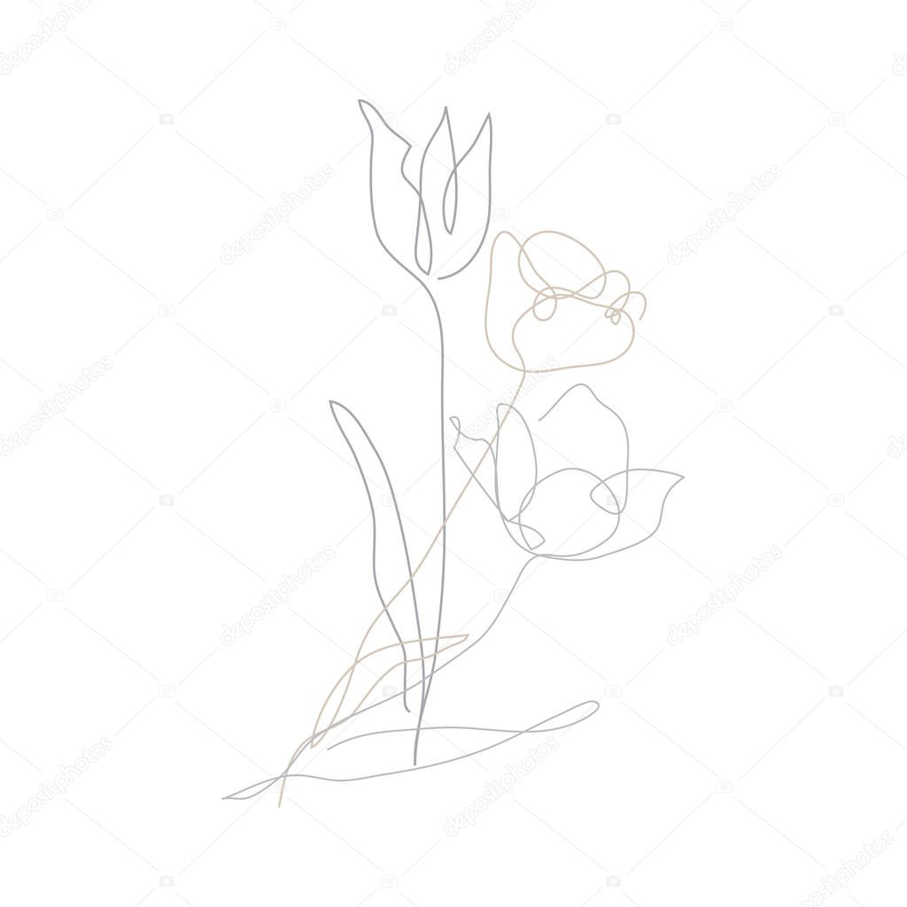 Decorative hand drawn tulip flowers, design element. Can be used for cards, invitations, banners, posters, print design. Continuous line art style