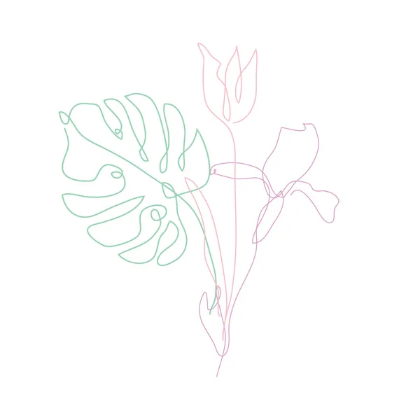 Tulipán Decorativo Dibujado Mano Iris Monstera Elementos Diseño Puede Utilizar — Vector de stock