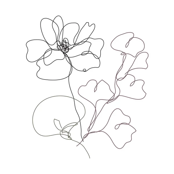 Decoratieve Hand Getekend Papaver Calla Gingko Design Elementen Kan Gebruikt — Stockvector