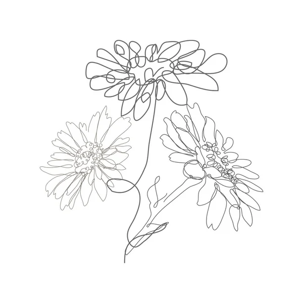 Dekorativní Ručně Kreslené Heřmánkové Květiny Designové Prvky Lze Použít Karty — Stockový vektor