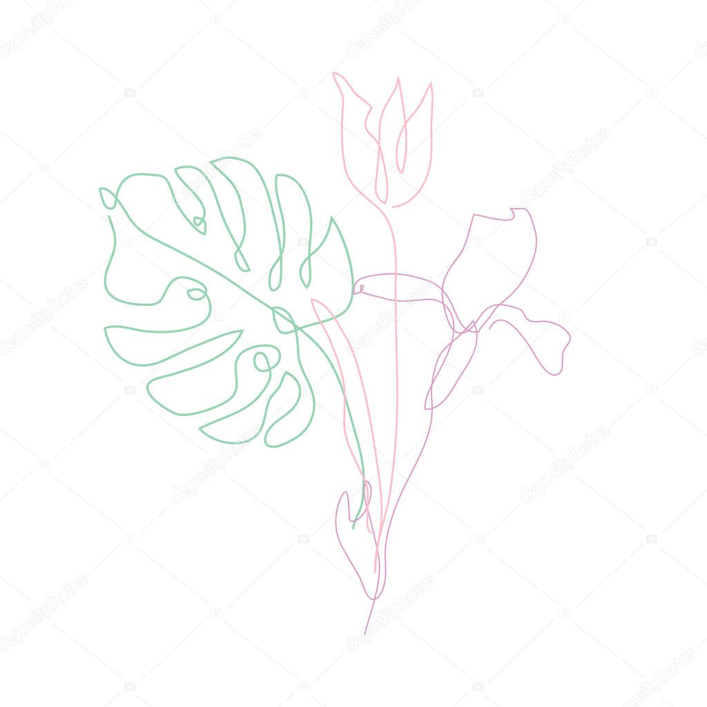 Decorative hand drawn tulip, iris, monstera, design elements. Can be used for cards, invitations, banners, posters, print design. Continuous line art style