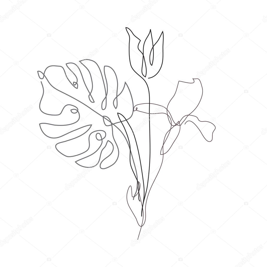 Decorative hand drawn tulip, iris, monstera, design elements. Can be used for cards, invitations, banners, posters, print design. Continuous line art style