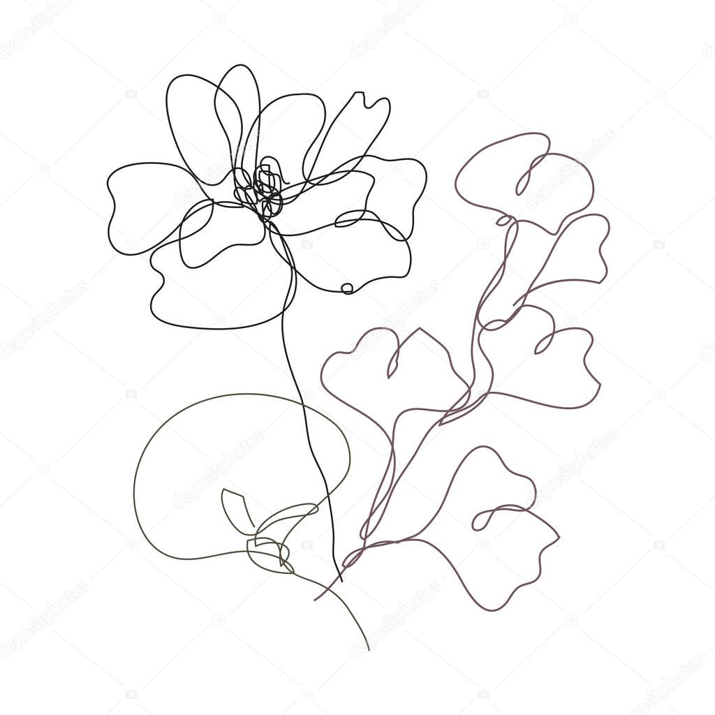 Decorative hand drawn poppy, calla, gingko, design elements. Can be used for cards, invitations, banners, posters, print design. Continuous line art style
