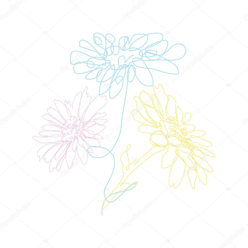 Decorative hand drawn chamomile flowers, design elements. Can be used for cards, invitations, banners, posters, print design. Continuous line art style