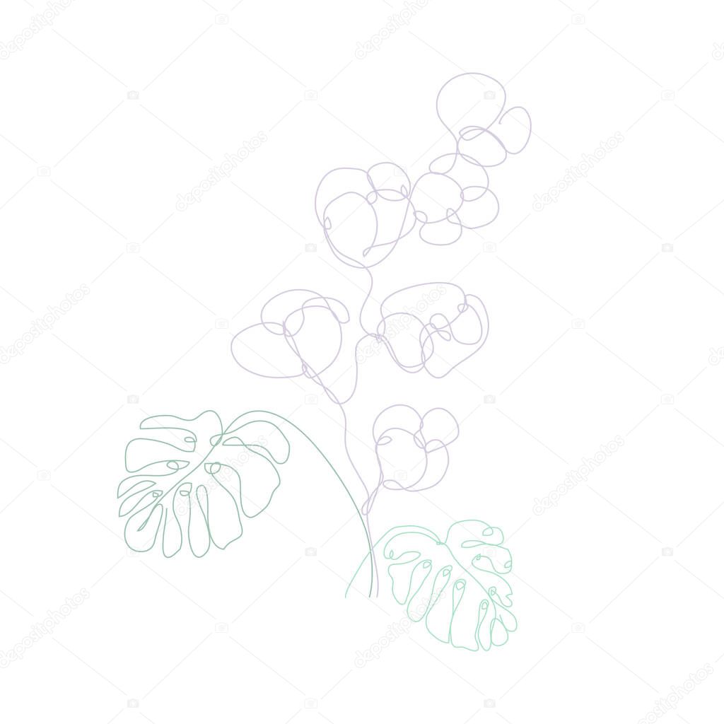 Decorative hand drawn cotton and monstera, design elements. Can be used for cards, invitations, banners, posters, print design. Continuous line art style