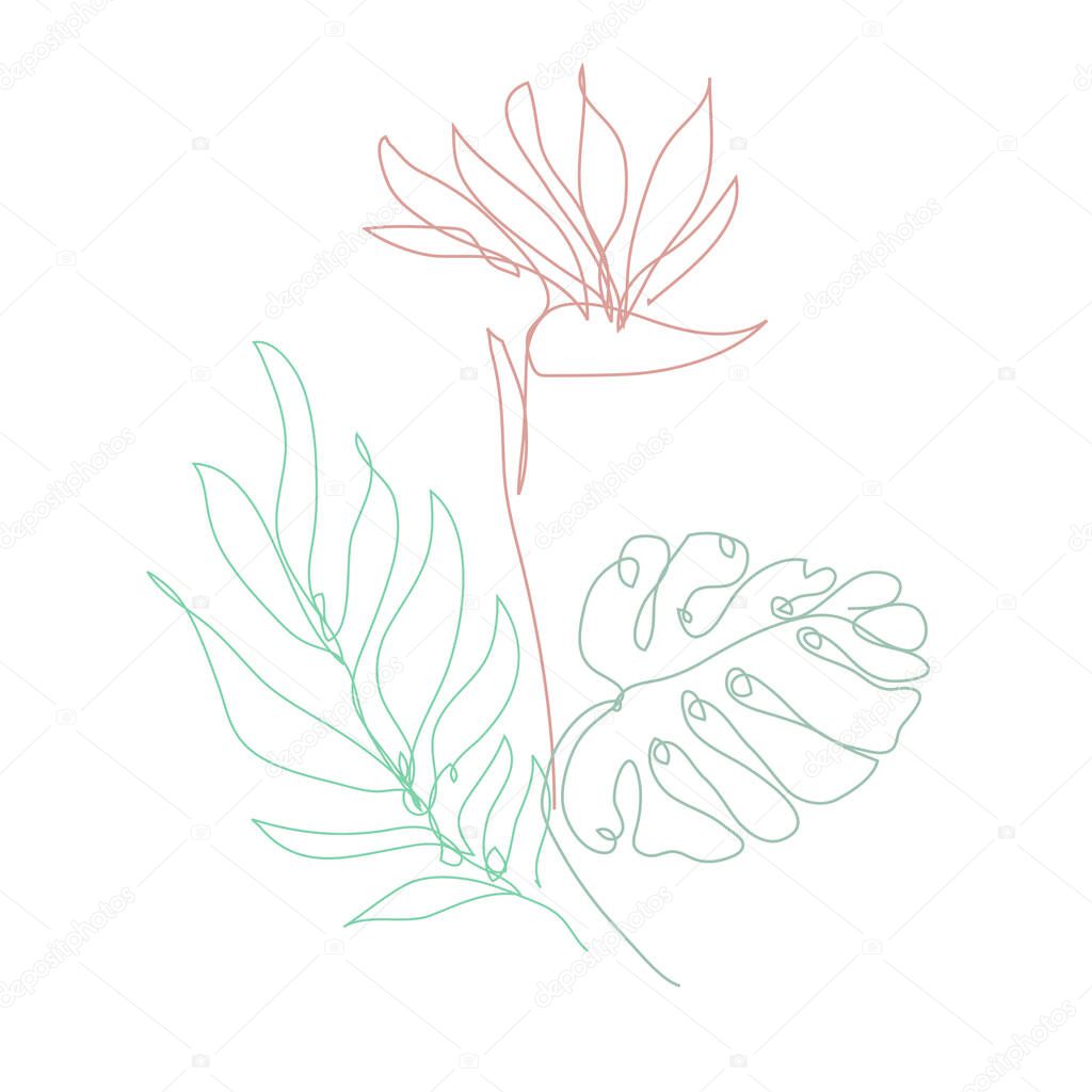 Decorative hand drawn strelitza and tropical leaves, design elements. Can be used for cards, invitations, banners, posters, print design. Continuous line art style