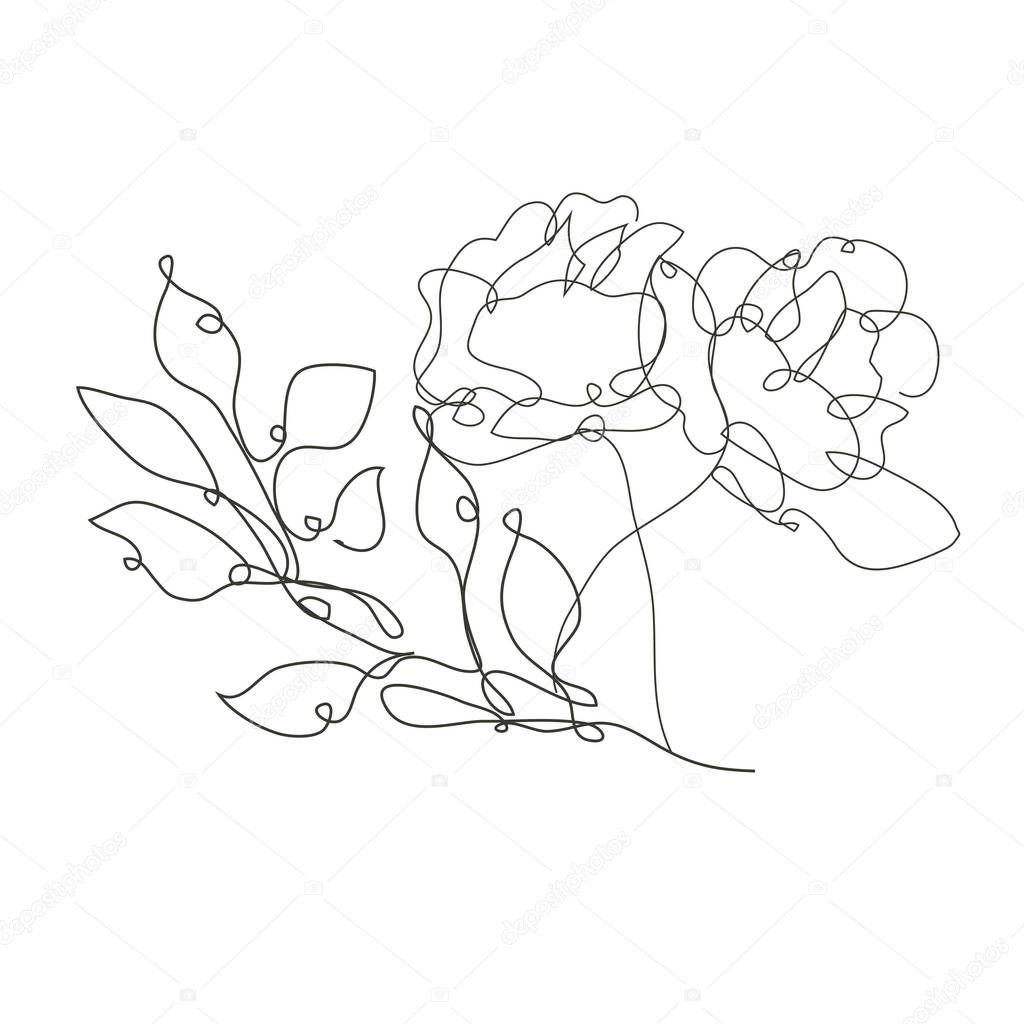 Decorative hand drawn roses and leaves, design elements. Can be used for cards, invitations, banners, posters, print design. Continuous line art style