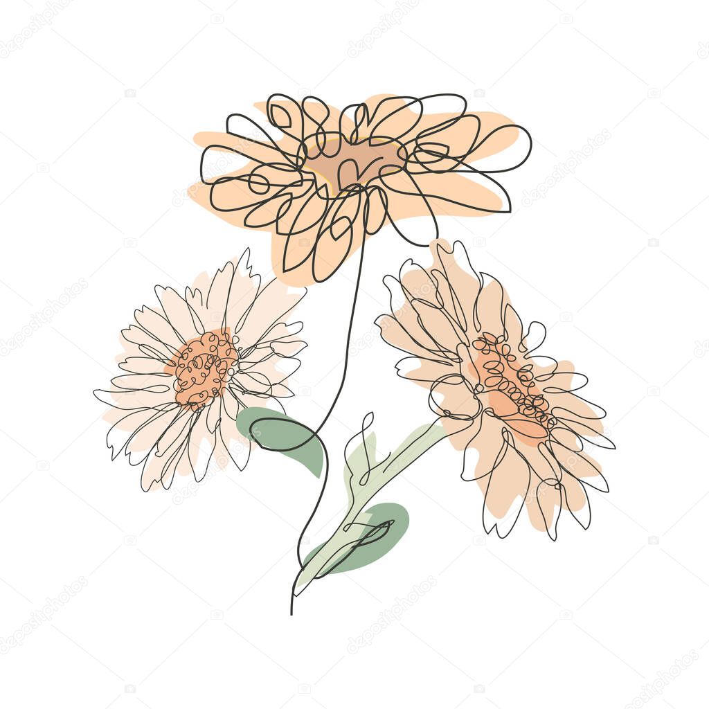 Decorative hand drawn chamomile flowers, design elements. Can be used for cards, invitations, banners, posters, print design. Continuous line art style