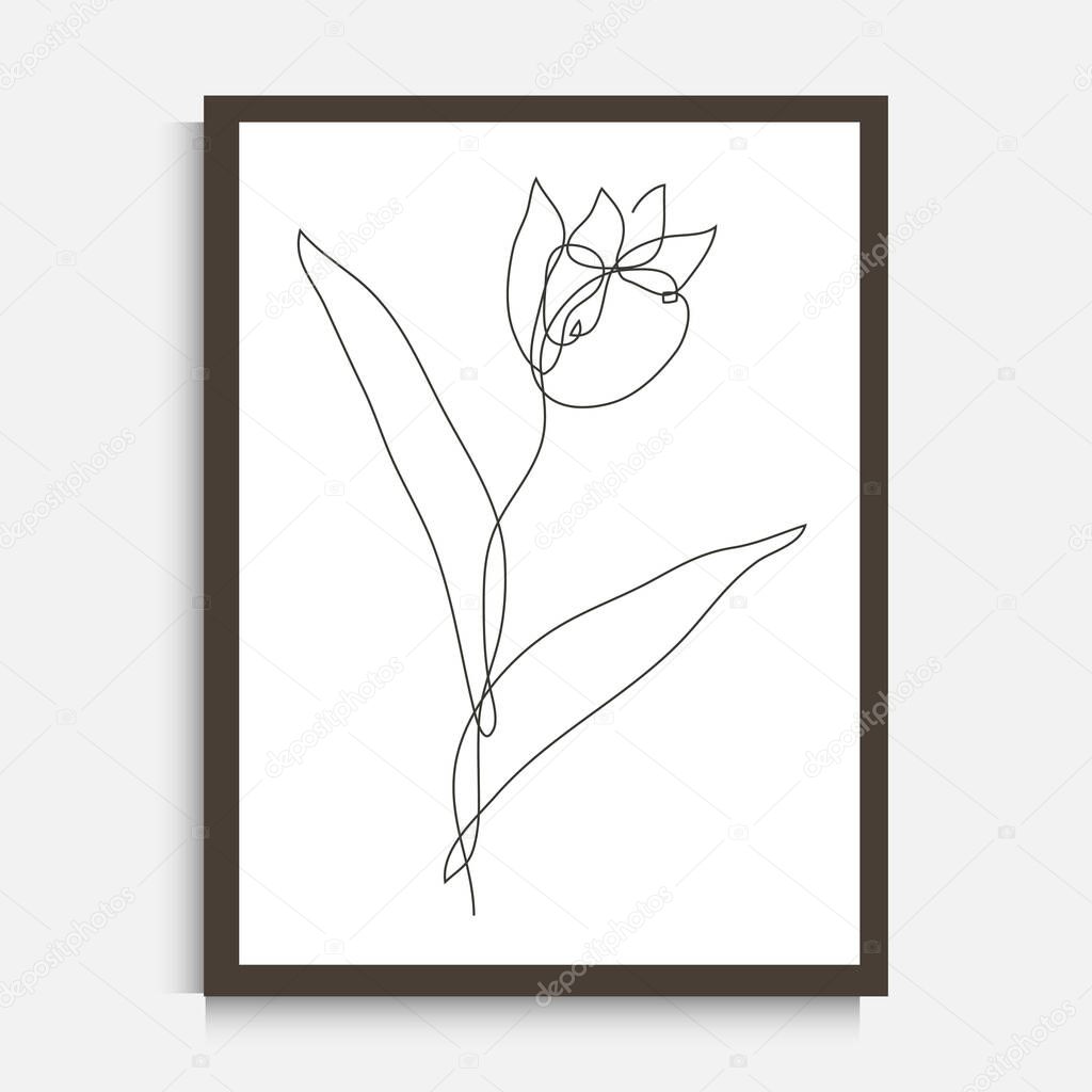 Decorative continuous line drawing tulip flower, design element. Can be used for wall prints, cards, invitations, banners, posters, print design. Minimalist line art. Wall decor