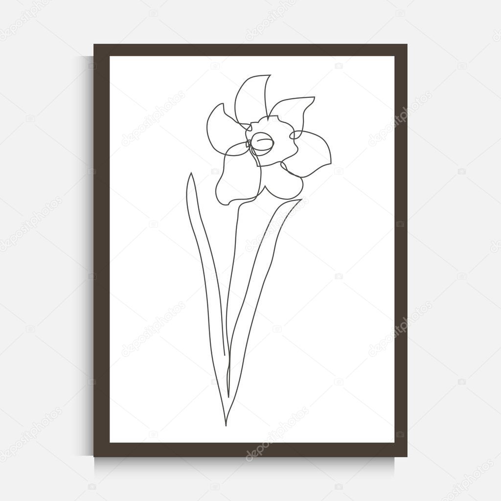 Decorative continuous line drawing daffodill flower, design element. Can be used for wall prints, cards, invitations, banners, posters, print design. Minimalist line art. Wall decor