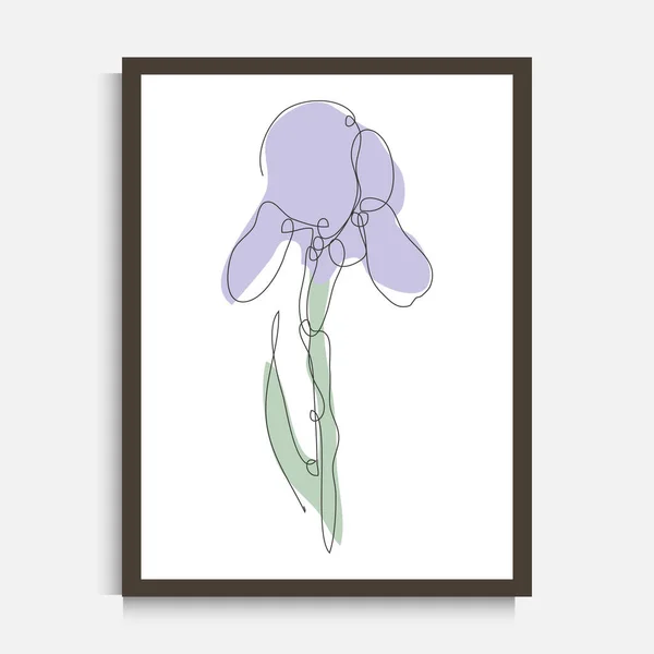 Dekorative Kontinuierliche Linienzeichnung Iris Blume Design Element Kann Für Wanddrucke — Stockvektor