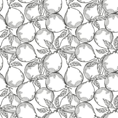 Zarif, pürüzsüz desenli, aromalı meyveli, tasarım elementli. Davetiyeler için meyve deseni, kartlar, baskı, hediye paketi, imalat, tekstil, kumaş, duvar kağıtları. Yemek, mutfak, vejetaryen teması