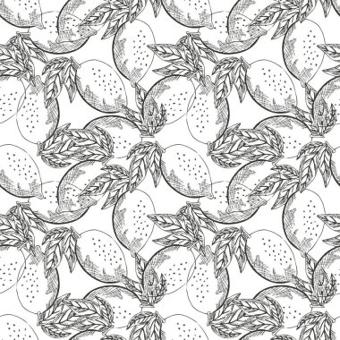 Limon meyveli, tasarım elementli zarif, pürüzsüz bir desen. Davetiyeler için meyve deseni, kartlar, baskı, hediye paketi, imalat, tekstil, kumaş, duvar kağıtları. Yemek, mutfak, vejetaryen teması