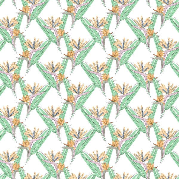 Élégant Motif Sans Couture Avec Fleurs Strelitzia Éléments Design Motif — Image vectorielle