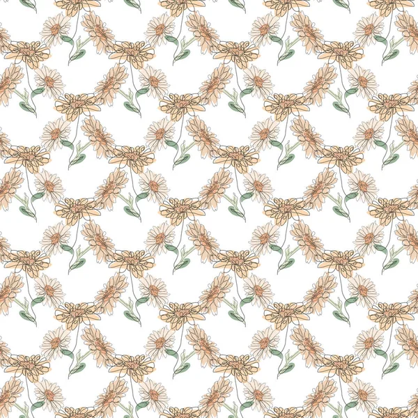 Élégant Motif Sans Couture Avec Des Fleurs Camomille Des Éléments — Image vectorielle