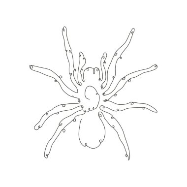 Dekoratif el çizimi örümcek, tasarım elementi. Kartlar, davetiyeler, afişler, posterler, baskı tasarımı için kullanılabilir. Devamlı çizgi sanatı. Böcek teması