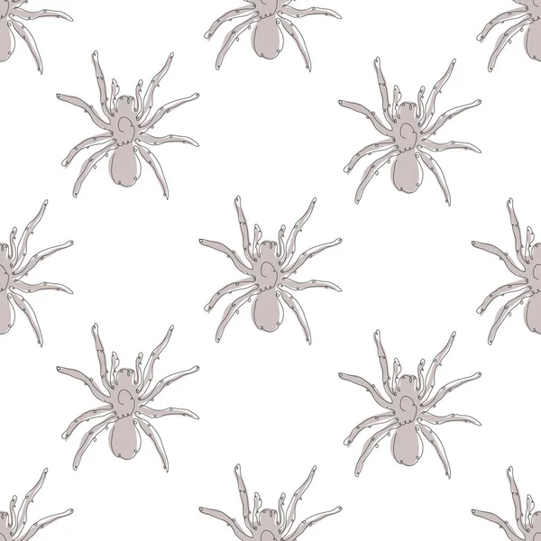 Padrão Sem Costura Elegante Com Aranhas Elementos Design Padrão Aranha — Vetor de Stock