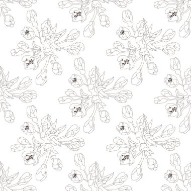 Sakura çiçekleri ve tasarım elementleriyle zarif, pürüzsüz bir desen. Davetiyeler için çiçek deseni, kartlar, baskı, hediye paketi, imalat, tekstil, kumaş, duvar kağıtları. Çizgi sanatı