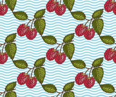 Ahududu meyveli, tasarım elementli zarif ve pürüzsüz bir desen. Davetiyeler için meyve deseni, kartlar, baskı, hediye paketi, imalat, tekstil, kumaş, duvar kağıtları. Yemek, mutfak, vejetaryen teması