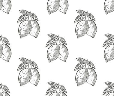 Limon meyveli, tasarım elementli zarif, pürüzsüz bir desen. Davetiyeler için meyve deseni, kartlar, baskı, hediye paketi, imalat, tekstil, kumaş, duvar kağıtları. Yemek, mutfak, vejetaryen teması