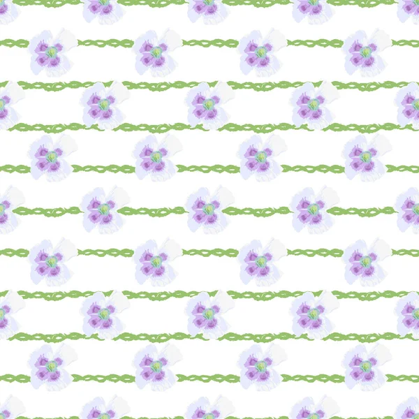 양귀비 피는우아 물갈퀴없는 디자인 요소들 초대장 벽지등을 꽃무늬 — 스톡 벡터