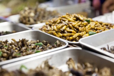 Bangkok şehir merkezinde çeşitli taze yiyecekler.