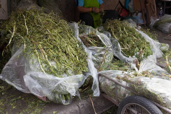 Comida Fresca Hecha Raíces Vegetales Centro Bangkok —  Fotos de Stock