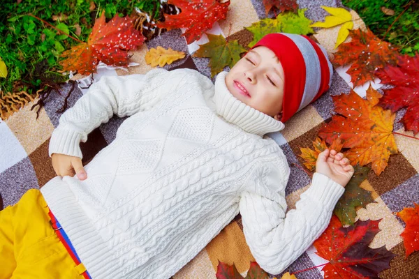 Niño Lindo Feliz Parque Otoño Con Hierba Verde Hojas Amarillas —  Fotos de Stock