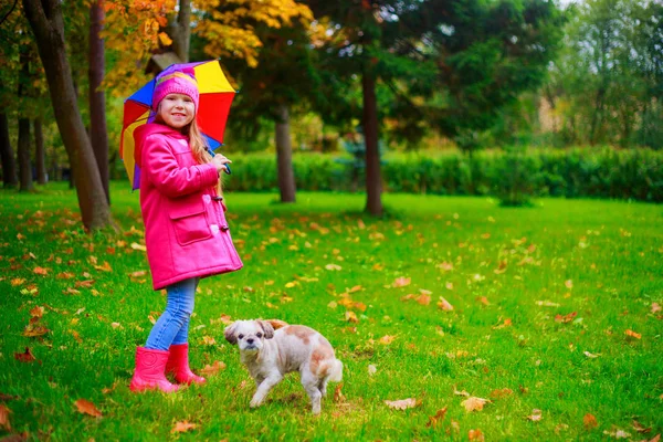 カラフルな傘と秋の公園で屋外彼女の犬との幸せな女の子 — ストック写真