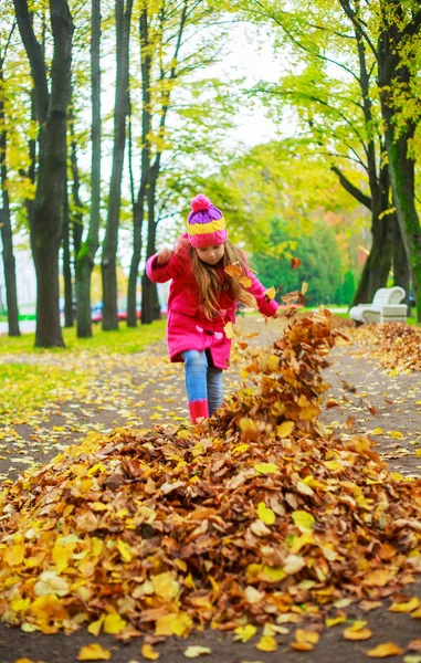 快乐的小女孩花时间户外在秋季公园 — 图库照片