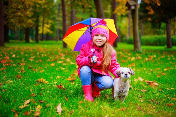 Menina Feliz Com Seu Cão Guarda Chuva Amarelo Vermelho Folhas — Fotografia de Stock