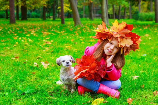 彼女の犬との幸せな女の子と黄色と赤の秋の葉秋の公園で屋外 — ストック写真