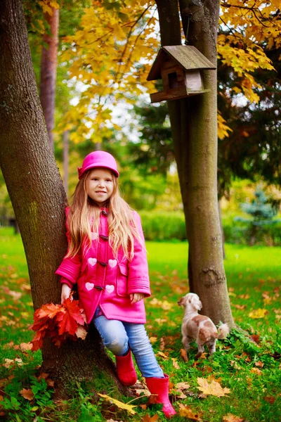 Menina Feliz Com Folhas Outono Amarelas Vermelhas Livre Parque Outono — Fotografia de Stock