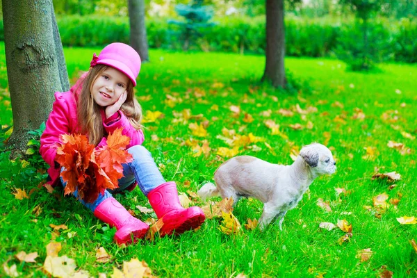 Šťastná Holčička Kytice Listí Ger Pes Venkovní Podzimní Park — Stock fotografie