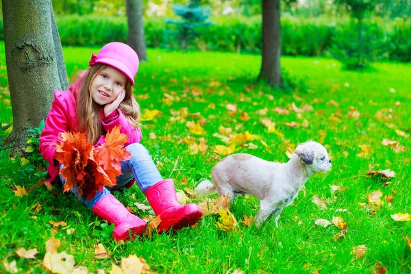 Gelukkig Klein Meisje Met Boeket Van Bladeren Ger Hond Buiten — Stockfoto