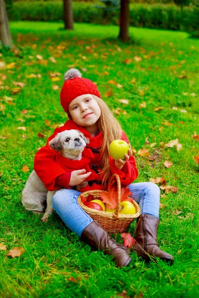 Gelukkig Meisje Met Een Mandje Met Groenten Haar Hond Buiten — Stockfoto