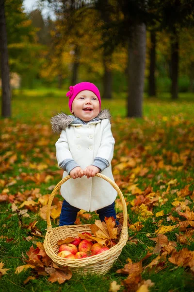 Felice Bambina Con Cesto Mele All Aperto Nel Parco Autunnale — Foto Stock