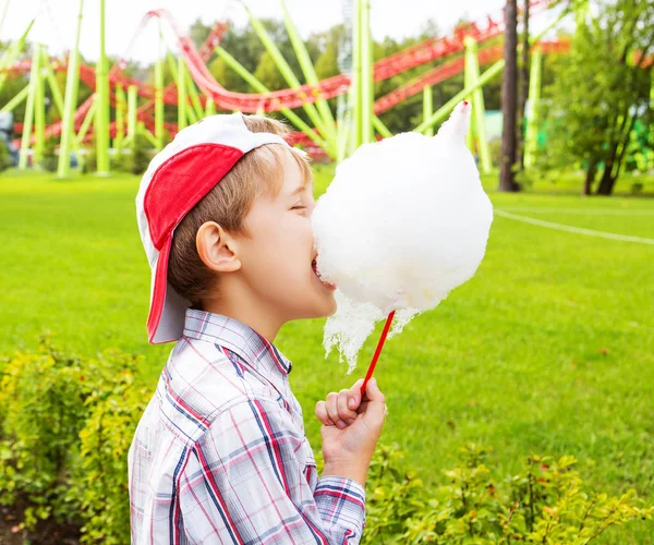 Felice Bambino Mangiando Zucchero Filato All Aperto Nel Parco Estivo — Foto Stock